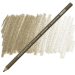 Sandbar Brown