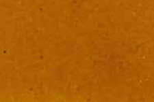 Dark Walnut
