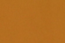 Maple Fill Stick