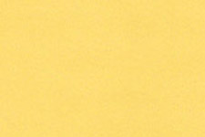 GOLDEN OAK ProMark