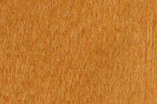 NGR  Dye MUSTARD