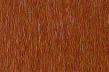 NGR Dye Light Red Mahogany