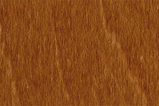 NGR Dye - MEDIUM DARK WALNUT