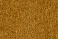 Golden Oak NGR Dye