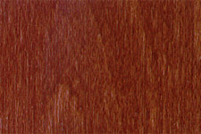 NGR Dye MEDIUM MAHOGANY