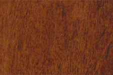 Designer Series Stain CINNAMON